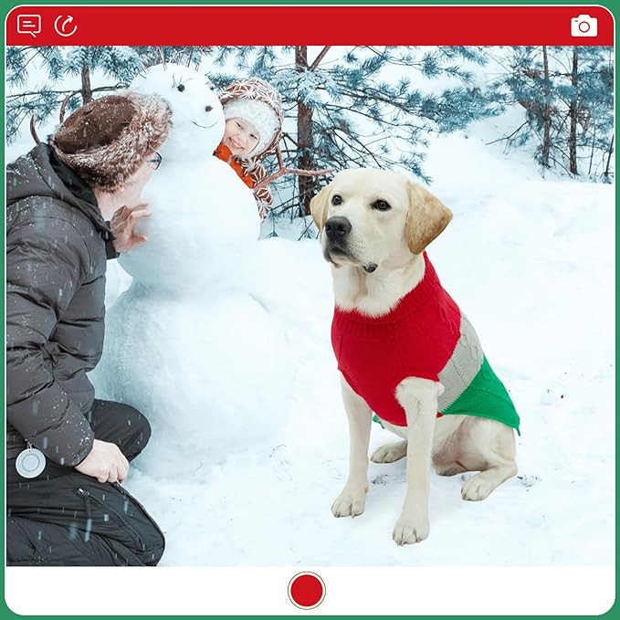 EXPAWLORER Dog Sweater - Large Dogs Fall Sweaters for Girls Boys,Classic Turtleneck Knitwear Dog Clothes for Cold Weather, Cable Knit Dogs Outfit,Coat,Pet Apparel Gift(Red&Green,L/XL)