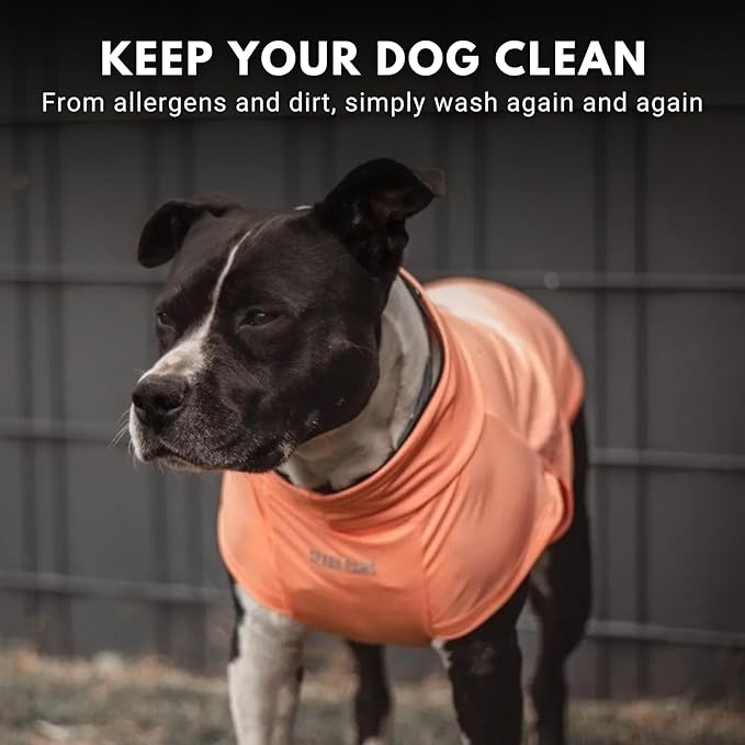Spark Paws Sunblock Dog T-Shirt, SPF30 Protection, Lightweight Breathable Quick Dry for Dogs with Sensitive Skin - Purple & Peach (Set of 2) - 5XL