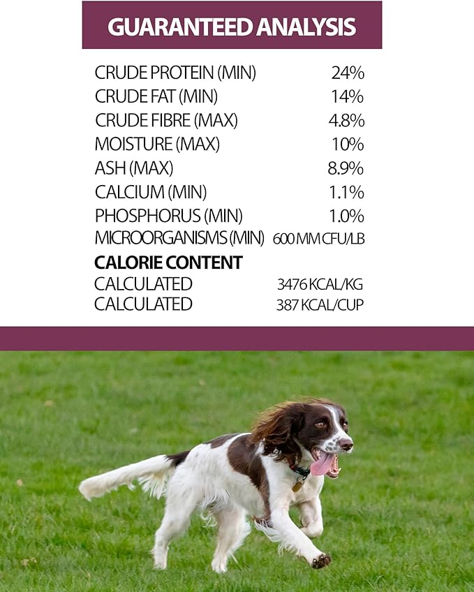 Pulsar Premium Whole Grain Dog Food | Pork Formula | All Life Stage, Non GMO, Meat Dense Diet | 8.8 lb Bag