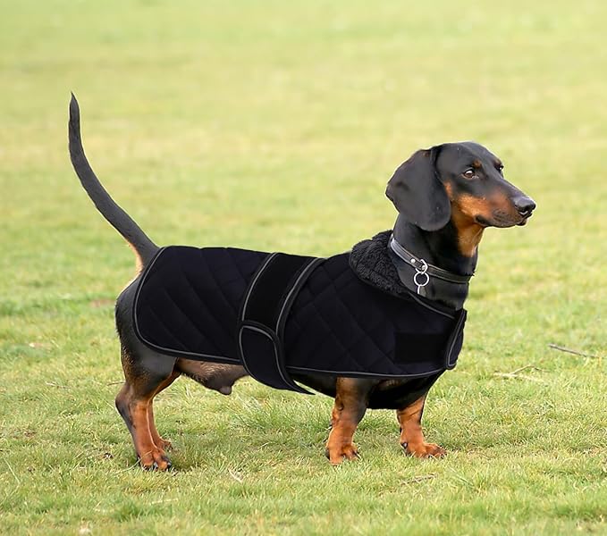Dachshund Coat Dog Coats for Dachshunds Dachshund Winter Jacket with Padded Fleece Outdoor Dog Clothes with Adjustable Bands - Dark Blue - L