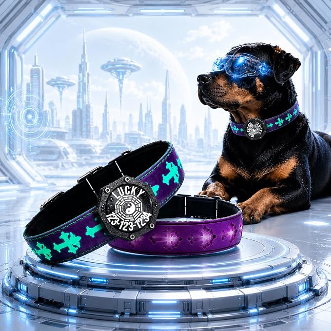 Light Up Glow Dog Collar with Chinese Style AirTag Holder,