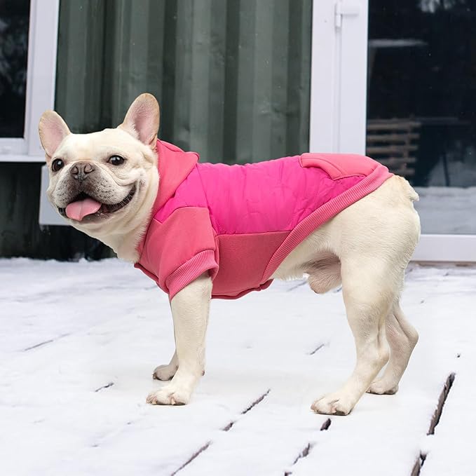 KOOLTAIL Warm Dog Winter Coat for Small Dogs, Waterproof Puppy Jacket with Leash Hole, Cold Weather Pet Vest for Winter, Soft Hoodie Sweater Sweatshirt Clothes for Puppy Cats Girls Boys Rose Red L