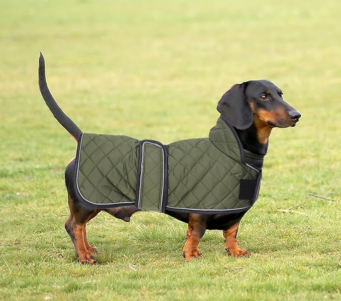 Dachshund Coat Dog Coats for Dachshunds Dachshund Winter Jacket with Padded Fleece Outdoor Dog Clothes with Adjustable Bands - Green - S
