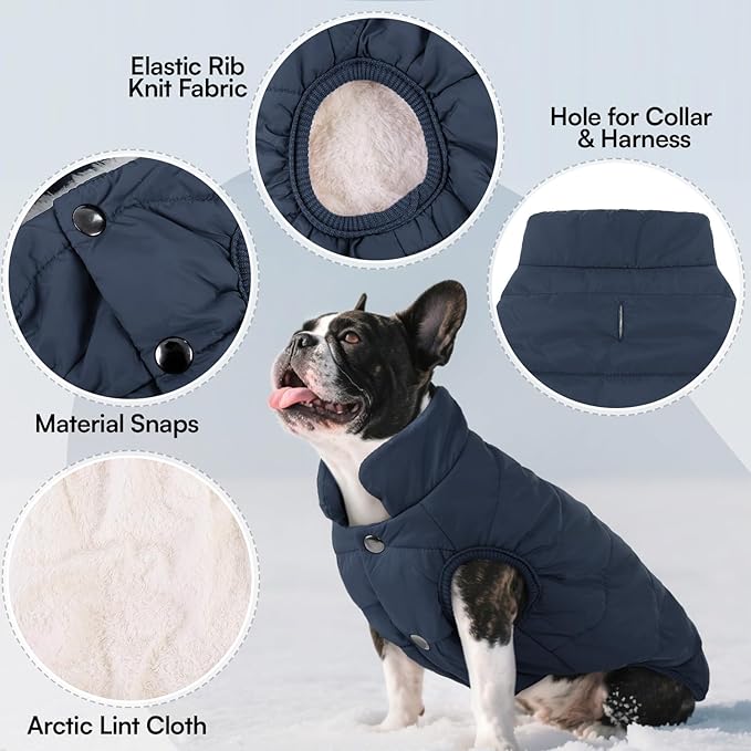 ASENKU Dog Winter Coat - Waterproof Windproof Dog Jacket, Warm Snowproof Doggie Puffer Vest for Cold Weather, Lightweight Snow Coats for Small Medium Large Dogs (2XL, Blue)