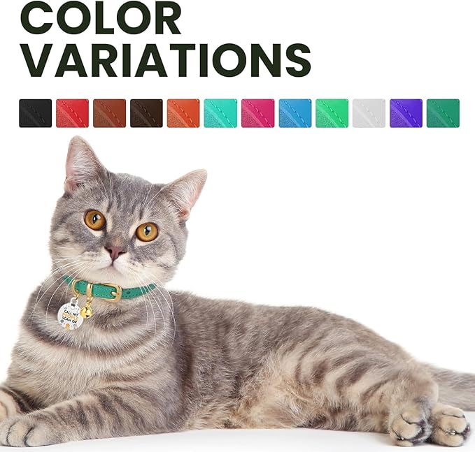 BRONZEDOG Leather Cat Collar with Removable Bells Non Breakaway Kitten QR Tag for Girl Boy (9" - 12" Cats/Mini Dogs, Blue & Silver)