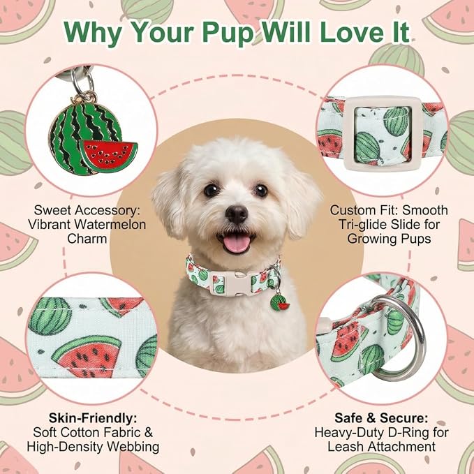 Summer Dog Collar for Medium Dogs, Cute Dog Collar with Watermelon Pattern and Pendant, Green Pet Collar with Soft Cotton Fabric and Robust Buckle