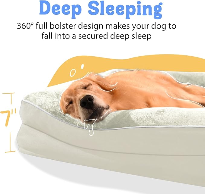 Orthopedic Washable Large Dog Bed - Egg Foam Dog Bed for Large and Medium Dogs Big Pet Beds with Removable Washable Cover and Bolster Non-Slip Bottom