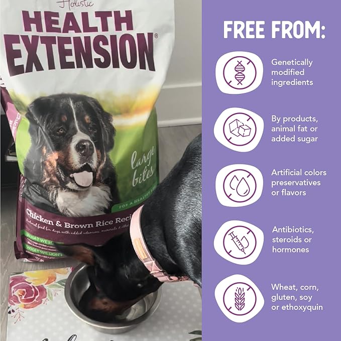 Health Extension Large Bites Chicken & Brown Rice Dry Dog Food, Protein-Rich Formula with Probiotics & Essential Nutrients for Large Breeds (30lb)