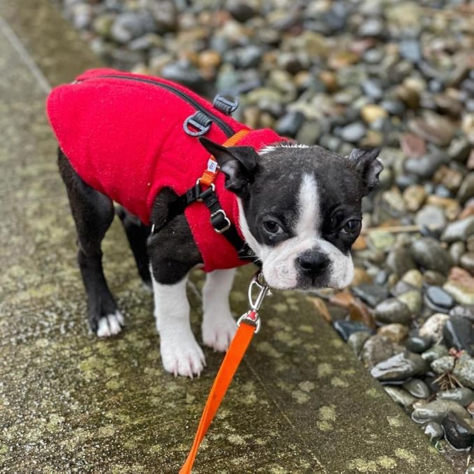 Gooby Zip Up Fleece Dog Sweater - Red, Small - Warm Pullover Fleece Step-in Dog Jacket with Dual D Ring Leash - Winter Small Dog Sweater - Dog Clothes for Small Dogs Boy and Medium Dogs