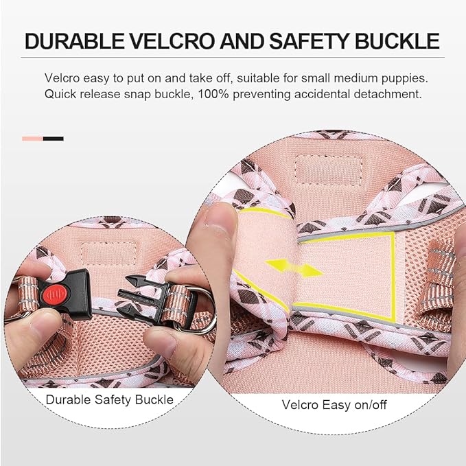 Mercano Soft Mesh Dog Harness and Leash Set, No-Chock Step-in Reflective Breathable Lightweight Easy Walk Vest Harnesses with Safety Buckle for Small Dogs, Cats (Champagne, XXS)