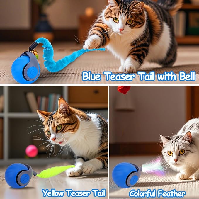 Mity rain Interactive Cat Toy Ball, Rechargeable Cat Toys for Indoor Cats