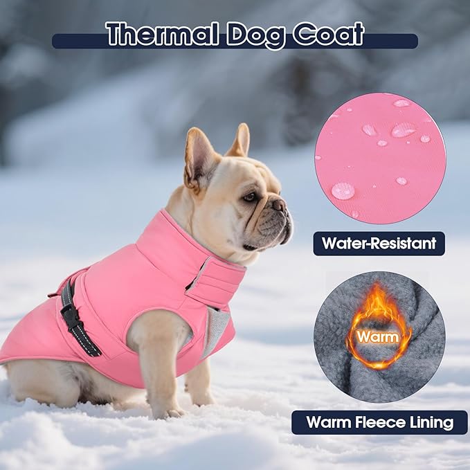 IECOii Coats for Dogs - Reflective Winter Vest Jackets, Adjustable & Windproof Dachshund Jacket for Winter, Fall, and Spring, Waterproof & Cozy Fleece Snow Vest with Easy-On Buckles, Orange, Size M