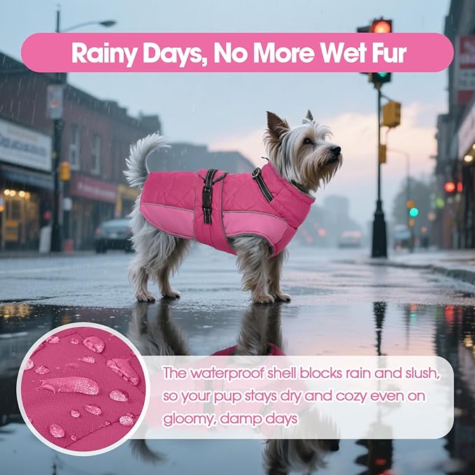 QBLEEV Warm Dog Jacket - Reflective, Adjustable Winter Coat with Turtleneck for Cold Weather, Waterproof Fleece Snowsuit for Small, Medium, Large Dogs