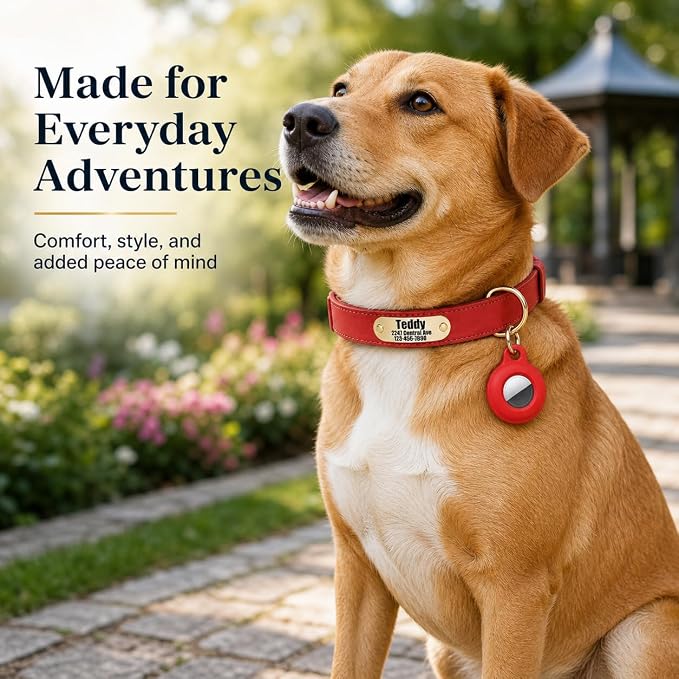 Personalized Genuine Leather Dog Collar with Name & Phone Number-Red-S