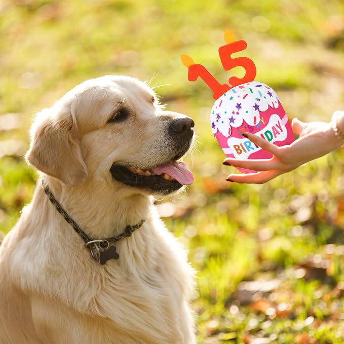 Dansydaisy Dog Birthday Cake Toy Squeaky Plush Gift,15th,Pink