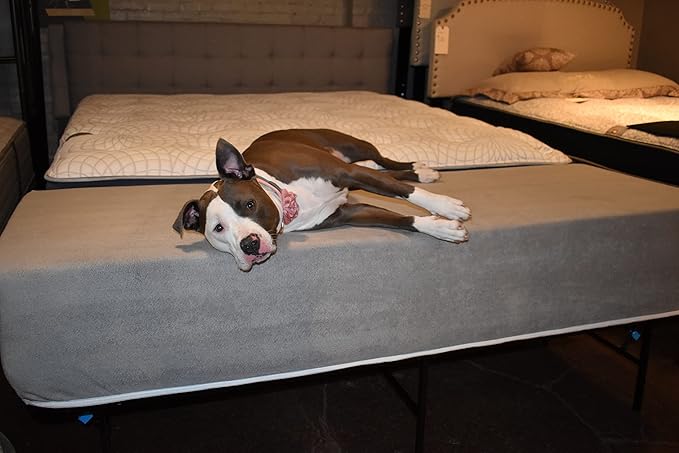 Mattress Extender for Queen Beds - Elevated/Raised Foam Dog Bed Extension (8" Height, White)