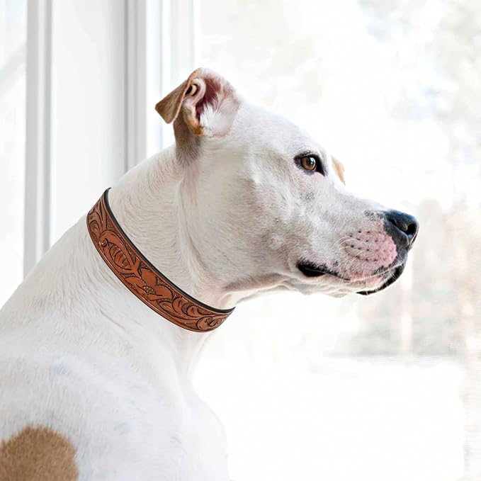 TARICO Adjustable Leather Dog Collar for All Breeds, Heavy Duty Non Padded Pet Collar with Engraved Design Durable Metal Buckle - Tan (Large: Fits 17–21" Necks)