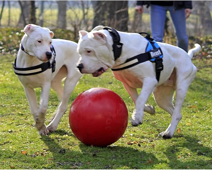 Jolly Pets Push-N-Play Small Dog Ball Toy, 4.5 in, Red