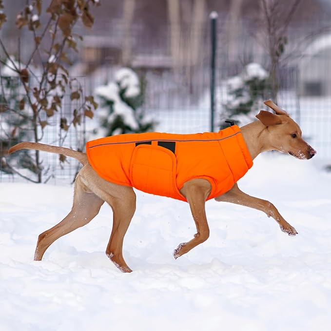 Kuoser Dog Jackets for Small Dogs, Warm Dog Coat, Puppy Winter Jacket Pet Clothes for Cold Weather, Reflective Waterproof Doggie Winter Vest for Pug Dachshund, Warm Hunting Vest, Orange S