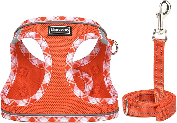 Mercano Soft Mesh Dog Harness and Leash Set, No-Chock Step-in Reflective Breathable Lightweight Easy Walk Vest Harnesses with Safety Buckle for Small Dogs, Cats (Tangerine, S)
