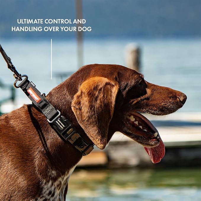 EzyDog Checkmate Martingale Collar for Dogs – Premium Nylon Training Dog Collar for Easy Control with no Choking (Medium, Red)