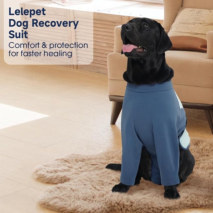 LeLePet Recovery Suit for Dogs After Surgery, Female Spay and Male Neuter Suits, Dog Onesie for Surgery Prevent Licking Breathable Soft Recovery Suit with Long Sleeve Front Legs Dog Cone Alternative