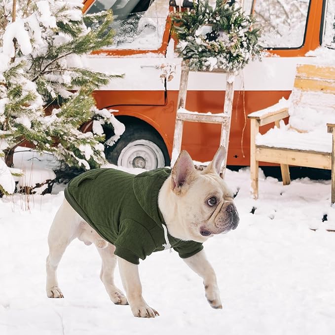 KOOLTAIL Dog Hoodie for Small Medium Large Dogs, Ultra-Warm & Soft Winter Fall Fleece Dog Hooded Sweatshirt Clothes Sweater, Lightweight Pullover Coat for Boy Girl Bulldog Pitbull Puppy Cats,Green S