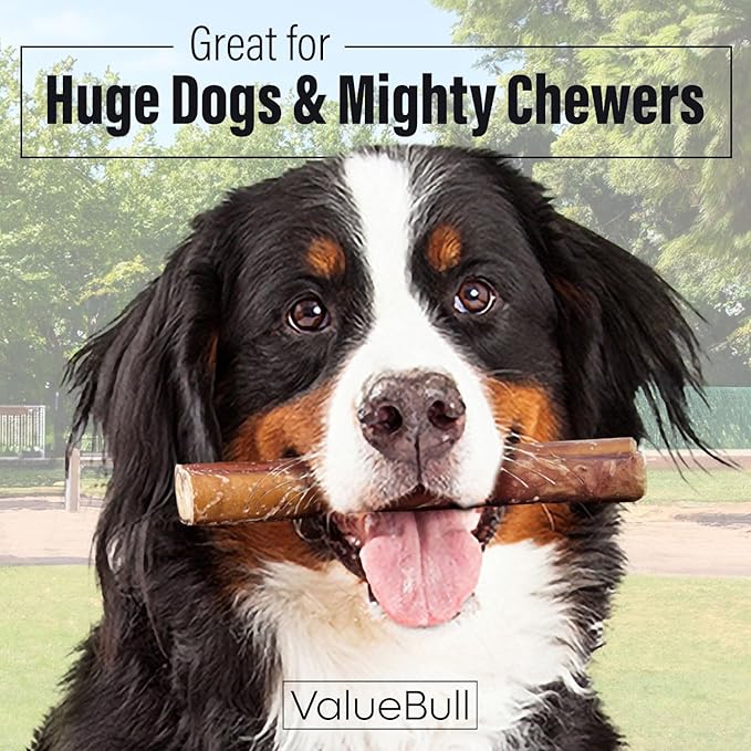 ValueBull Bully Sticks for Large Dogs, Super Jumbo 6 Inch, 100 Count Bulk Pack - All Natural, Grass Fed, Single Ingredient, Long Lasting Dog Treats for Aggressive Chewers
