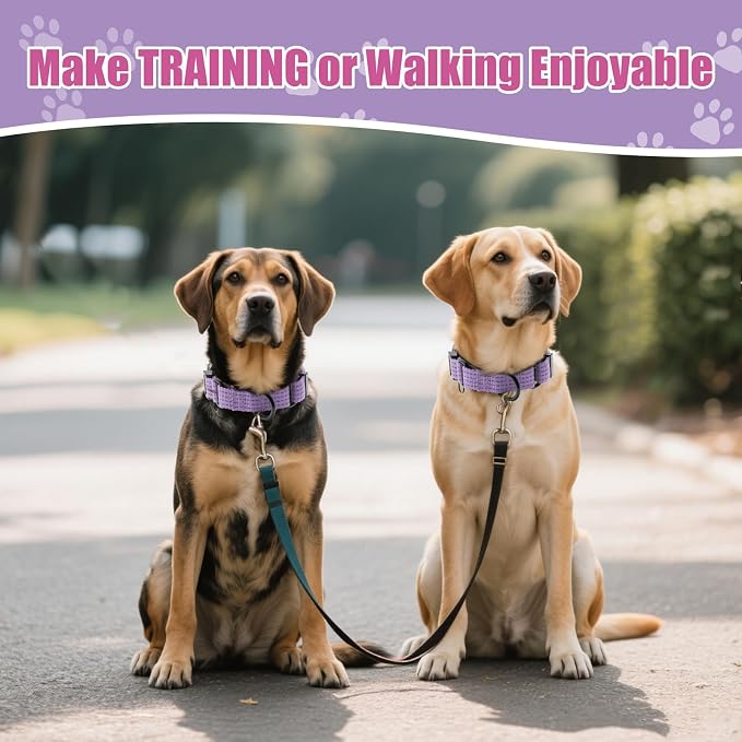 Martingale Dog Collar, Reflective No Pull with Buckle, Lavender, L