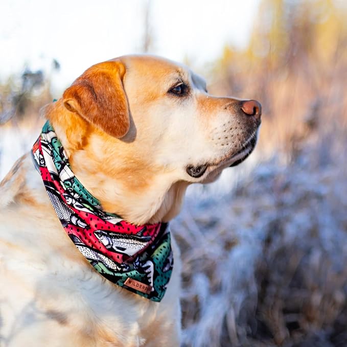 Wilderdog Dog Bandana with Lightweight Quick Drying Poly-Blend Mesh Material in Gone Fishing