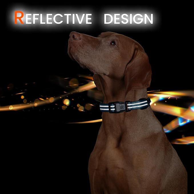 Personalized Dog Collar with QR Code Dog Tag, Light Blue S | Anti-lost, 1000D nylon, reflective, padded, XS-L(8"-24"), QR buckle shares lost pet profile, location alerts when scanned