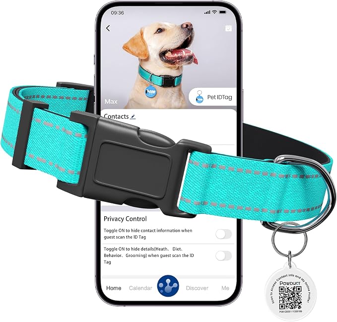 Personalized Dog Collar with QR Code Tag, Medium, Mint Green | Reflective Dog Collar with Smart Custom ID Tag, Dog Collars for Medium Dogs
