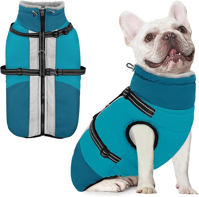 AOFITEE Dog Coat for Small Dogs, Warm Dog Winter Jacket with Harness Built in, Waterproof Small Winter Coat Dogs Reflective Cold Weather Coats for Chihuahua, Yorkshire, Turquoise XS