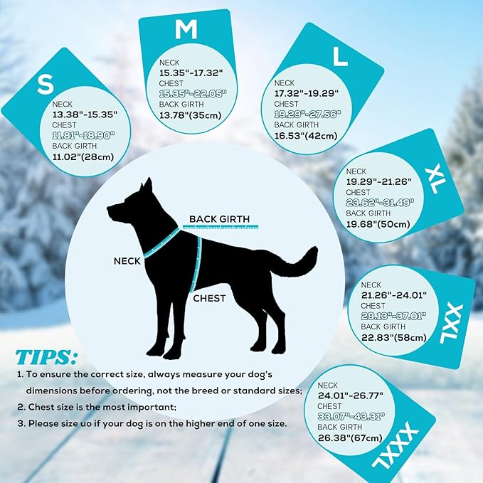 EMUST Winter Dog Jacket, Windproof Dog Apparel for Cold Weather, Reflective Coats for Dogs, Warm Puppy Jacket for Cold Winter, Turquoise, S