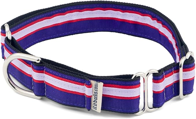 If It Barks 1" Martingale Collar for Dogs, Adjustable Nylon, USA Made, Large, Jelly