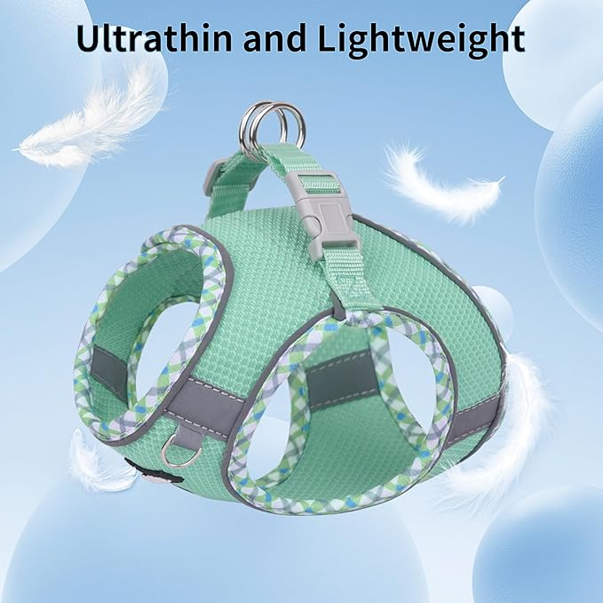 AIITLE Dog Harness and Leash Set - Ultra-Comfortable XXS-XL Vest with Strong Magic Tape & Glow-in-Dark Reflective Strips, Chafe-Free for Teddy, Schnauzer (Turquoise, M)