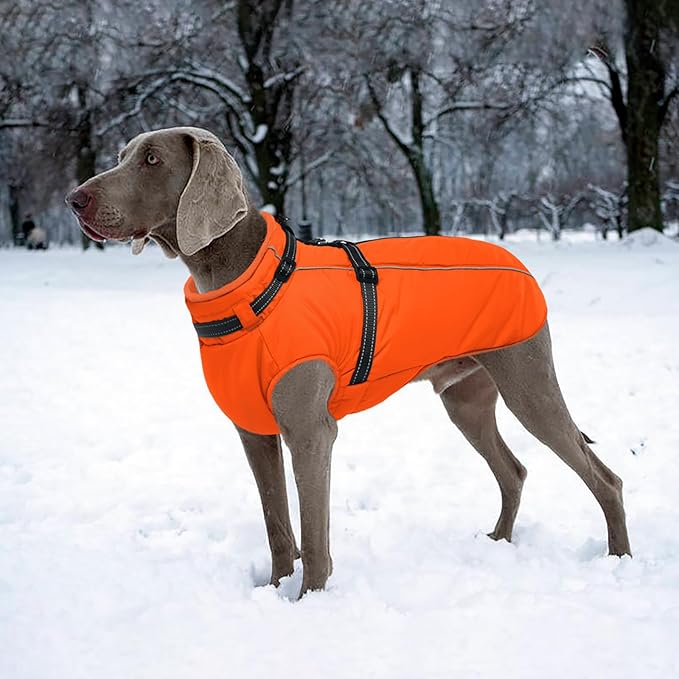 Lelepet Dog Winter Coat Waterproof Dog Jacket with Harness Built in Windproof Reflective Pet Coats for Small Medium Large Dogs, Thermal Fleece Lined Coats for Cold Weather Walking Hiking, Orange, S