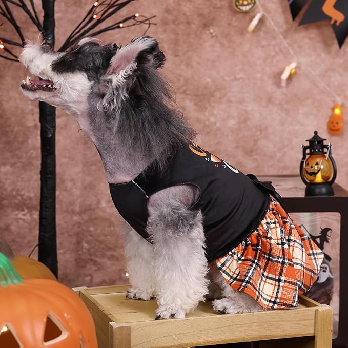 CuteBone Halloween Dog Dresses Velvet Holiday Small Dogs Clothes Onesie Pet Apparel Girl Puppy Skirt with Bow Hair Rope CVA45XXS-D