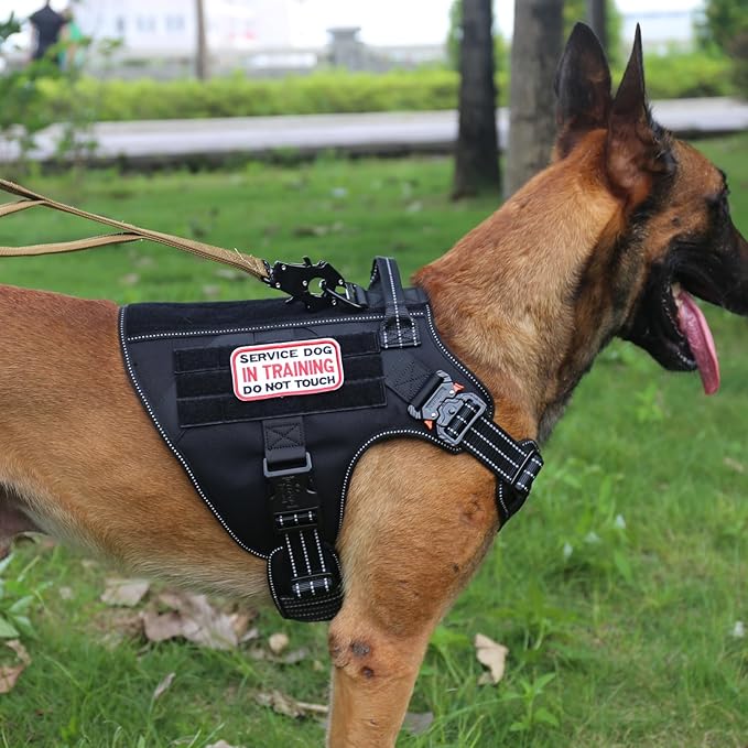 ICEFANG Tactical Dog Harness, Large Size,2X Metal Buckle,Working Dog MOLLE Vest with Handle,No Pulling Front Leash Clip,Hook and Loop Panel (Black,L (Pack of 1))