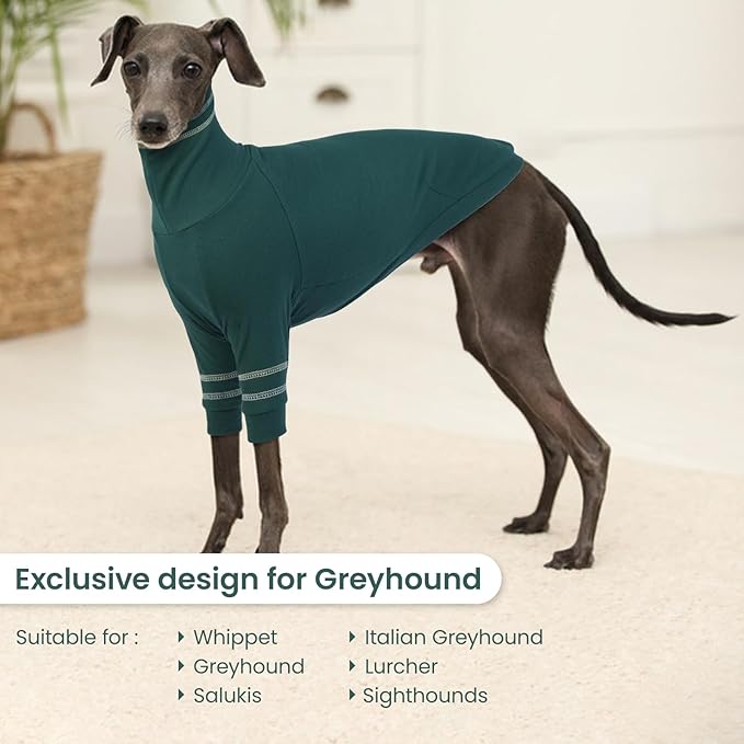 Greyhound Dog Sweater, Italian Greyhound Coat for Small Dogs, Whippet Pullover Turtleneck Stretchy Knit Sweatshirt, Greyhound Thermal Clothes Pajamas Sighthounds Jumpsuit for Cold Weather S