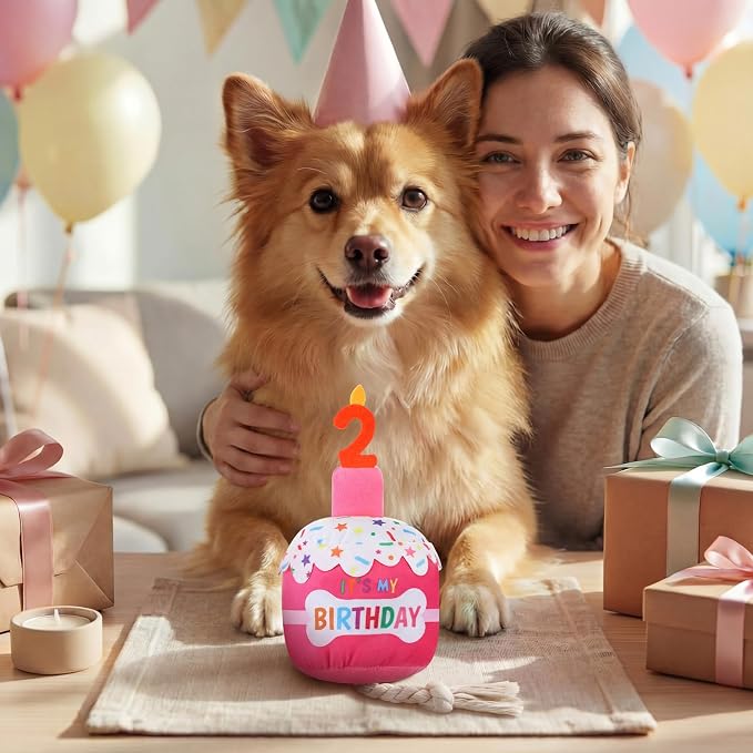 Dansydaisy Dog Birthday Cake Toy Squeaky Plush Gift,2nd,Rose Pink