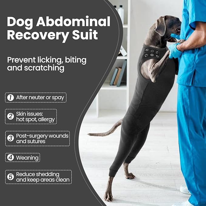 Nanaki Dog Wound Care Shirt, Leg Sleeves to Stop Licking Rear Leg and Abdomen, Surgery Suit for Female Spay, Onesie for Surgery Female, Surgical Recovery Suit Wound Heal Clothes