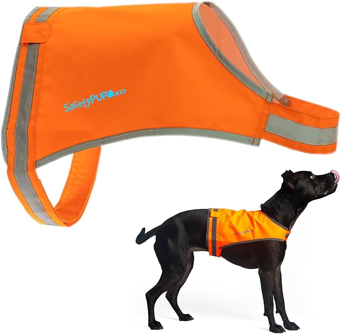 Blaze Orange Dog Vest, Lite Edition. High Visibility Dog Reflective Jacket with Mid Back Coverage. Ideal Hunting Vest, Reflective Gear for Small, Medium, and Large Breeds Helping to Keep Your PUP Safe