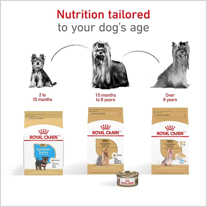 Royal Canin Breed Health Nutrition Yorkshire Terrier Adult Dry Dog Food, 10 lb Bag