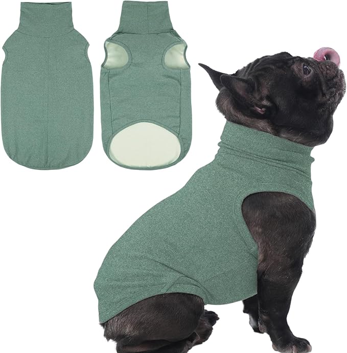 IECOii Small Dog Sweater,Stretch Fleece Vest - Green, Medium,Warm Pullover for Winter Spring Fall, Soft & Lightweight Dog Sweatshirt Indoor Outdoor Clothes,Turtleneck for Small Medium Dogs Girl Boy