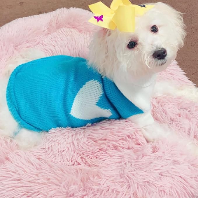 CHBORCHICEN Pet Dog Sweaters Classic Knitwear Turtleneck Winter Warm Puppy Clothing Cut Strawberry and Heart Doggie Sweater (Sky Blue, Medium)