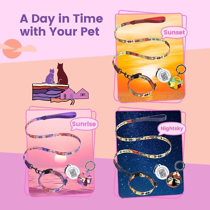 Dog Collar and Leash Set with QR ID Tag, 5 FT Leash, Purple, M