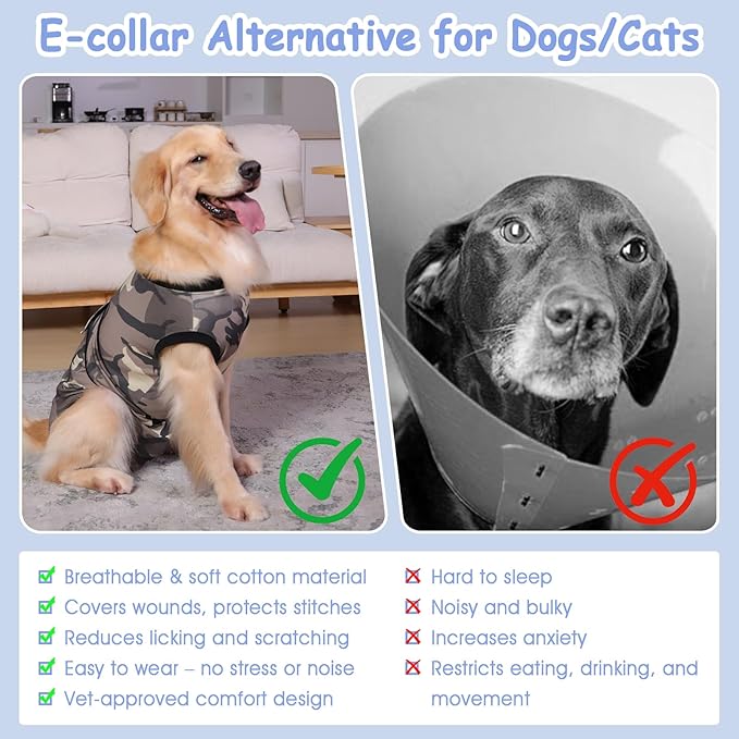 PET Glam Recovery Suit for Dogs Cats, After Surgery, Alternative E-Collar Dog CAT. PET Shirt Breathable Abdominal Wounds, Neuter Cotton, Prevent Licking Onesie Surgical (Green, XS)