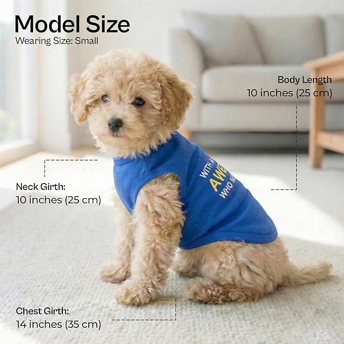 Parisian Pet Dog Tshirt - Embroidered “ Awesome “ Tank Top - Pure Cotton and Lightweight Dog Clothes - Blue Pet Vest - Sleeveless Tee Shirts for Small Dogs Boy