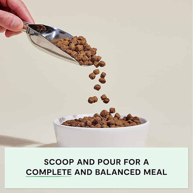 Open Farm, Grain-Free Dry Dog Food for Senior Dogs, Complete & Balanced Kibble to Support Joints & Mobility, Sustainably & Ethically Sourced Ingredients, Chicken & Turkey Recipe for Seniors, 4lb Bag